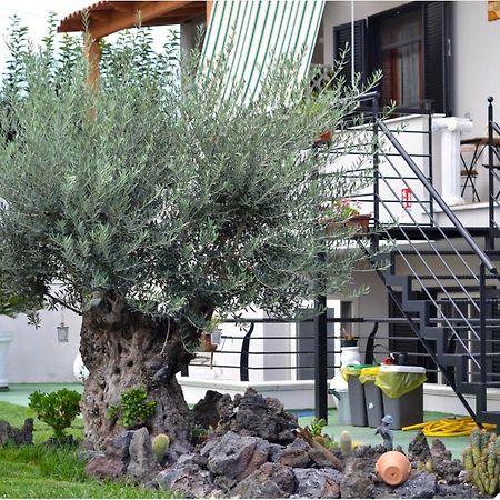 Bed and Breakfast Pompei Gryllus Esterno foto