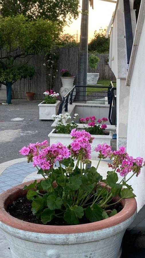 Bed and Breakfast Pompei Gryllus Esterno foto